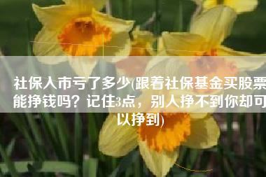 社保入市亏了多少(跟着社保基金买股票能挣钱吗？记住3点，别人挣不到你却可以挣到)