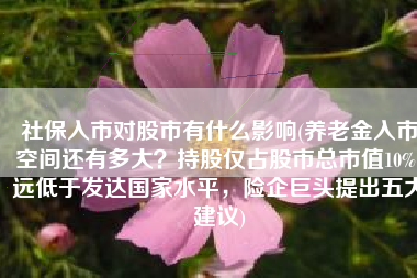 社保入市对股市有什么影响(养老金入市空间还有多大？持股仅占股市总市值10%，远低于发达国家水平，险企巨头提出五大建议)