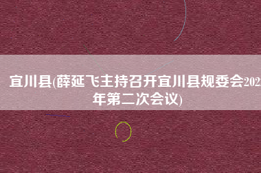 宜川县(薛延飞主持召开宜川县规委会2022年第二次会议)