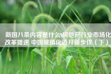 新国八条内容是什么(房地产行业市场化改革提速 中国城镇化迈开新步伐（下）)