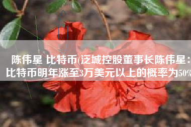 陈伟星 比特币(泛城控股董事长陈伟星：比特币明年涨至3万美元以上的概率为50%)