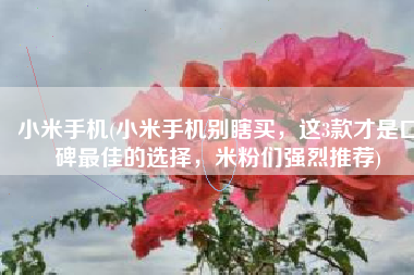 小米手机(小米手机别瞎买，这3款才是口碑最佳的选择，米粉们强烈推荐)