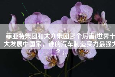 菲亚特集团和大众集团哪个厉害(世界十大发展中国家，谁的汽车制造实力最强大？)