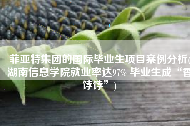菲亚特集团的国际毕业生项目案例分析(湖南信息学院就业率达97% 毕业生成“香饽饽”)
