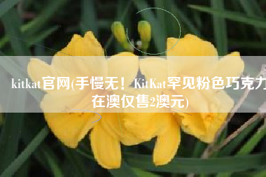 kitkat官网(手慢无！KitKat罕见粉色巧克力在澳仅售2澳元)