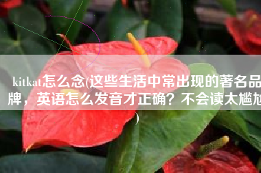 kitkat怎么念(这些生活中常出现的著名品牌，英语怎么发音才正确？不会读太尴尬)