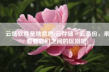 云端软件是啥意思(云存储≠云备份，来看看它们之间的区别吧)
