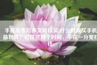 手机发布后多久可以买(什么时候买手机最划算？记住这四个时间，不花一分冤枉钱)