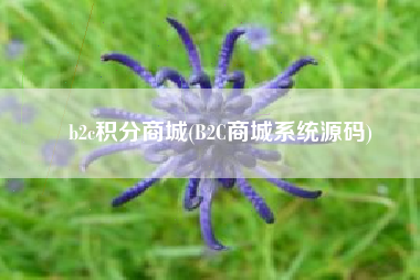 b2c积分商城(B2C商城系统源码)