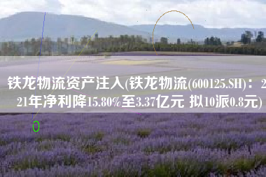 铁龙物流资产注入(铁龙物流(600125.SH)：2021年净利降15.80%至3.37亿元 拟10派0.8元)