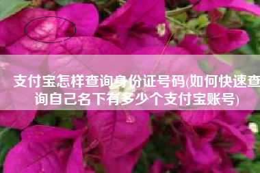 支付宝怎样查询身份证号码(如何快速查询自己名下有多少个支付宝账号)