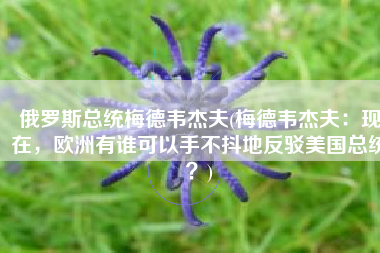 俄罗斯总统梅德韦杰夫(梅德韦杰夫：现在，欧洲有谁可以手不抖地反驳美国总统？)