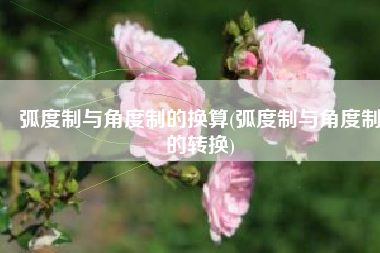 弧度制与角度制的换算(弧度制与角度制的转换)