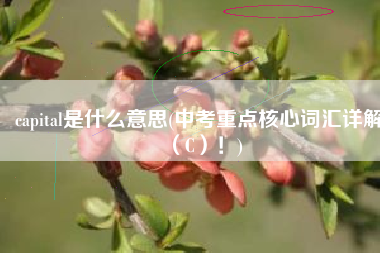 capital是什么意思(中考重点核心词汇详解（C）！)