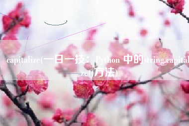 capitalize(一日一技：Python 中的string.capitalize()方法)
