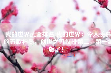 我的世界武器排名(我的世界：令人羡慕的五款神器，创世之刃仅排第二，第一绝版了！)