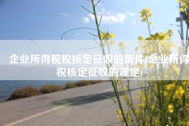 企业所得税税核定征收的条件(企业所得税核定征收的规定)
