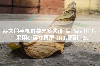 最大的手机屏幕是多大(Redmi Note 11T Pro+采用6.6英寸直屏 144Hz高刷+2K)