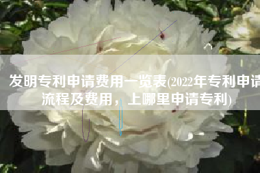 发明专利申请费用一览表(2022年专利申请流程及费用，上哪里申请专利)
