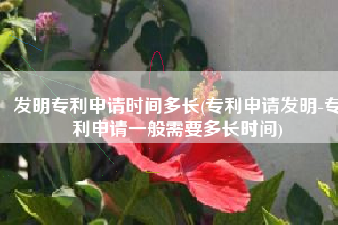 发明专利申请时间多长(专利申请发明-专利申请一般需要多长时间)