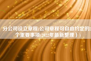分公司设立章程(公司章程可自由约定的23个重要事项(2022年最新整理）)