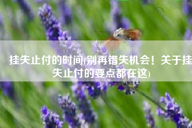 挂失止付的时间(别再错失机会！关于挂失止付的要点都在这)