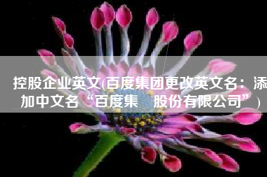 控股企业英文(百度集团更改英文名：添加中文名“百度集團股份有限公司”)