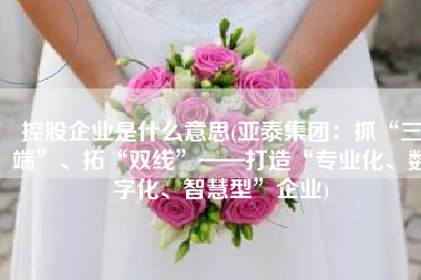 控股企业是什么意思(亚泰集团：抓“三端”、拓“双线”——打造“专业化、数字化、智慧型”企业)