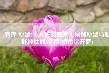 羁押 原型(《人民的名义》案例原型马超群被批捕5年后 将首次开庭)
