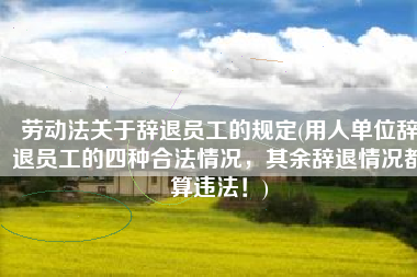 劳动法关于辞退员工的规定(用人单位辞退员工的四种合法情况，其余辞退情况都算违法！)