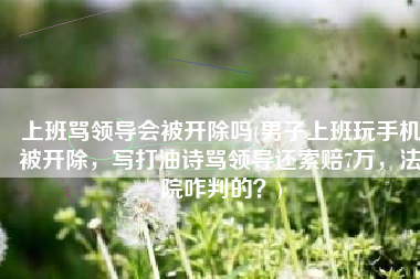 上班骂领导会被开除吗(男子上班玩手机被开除，写打油诗骂领导还索赔7万，法院咋判的？)