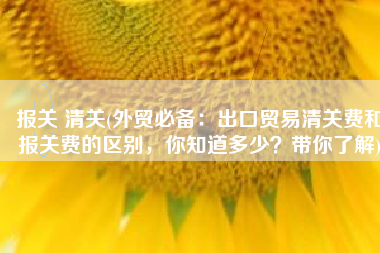报关 清关(外贸必备：出口贸易清关费和报关费的区别，你知道多少？带你了解)