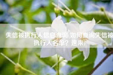 失信被执行人信息查询(如何查询失信被执行人名单？速来)