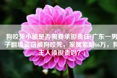狗咬死小偷是否需要承担责任(广东一男子翻墙盗窃被狗咬死，家属索赔66万，狗主人须担责吗？)