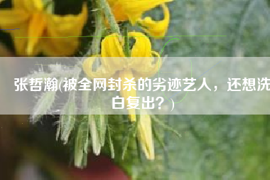 张哲瀚(被全网封杀的劣迹艺人，还想洗白复出？)