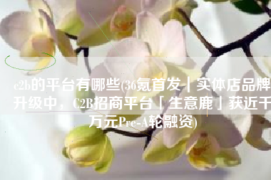 c2b的平台有哪些(36氪首发｜实体店品牌升级中，C2B招商平台「生意鹿」获近千万元Pre-A轮融资)