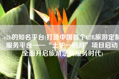 c2b的知名平台(打造中国首个C2B旅游定制服务平台——“土驴一码游”项目启动 全面开启旅游定制服务时代)
