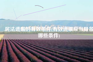 民法遗嘱的有效条件(有效遗嘱应当具备哪些条件)