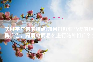 关键字广告的特点(如何打好亚马逊的矩阵广告，跨境电商怎么进行站外推广？)