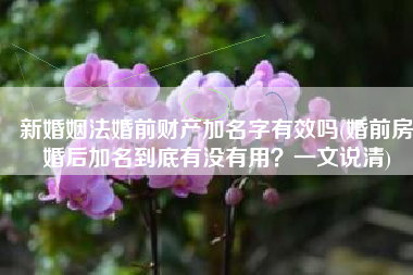 新婚姻法婚前财产加名字有效吗(婚前房婚后加名到底有没有用？一文说清)