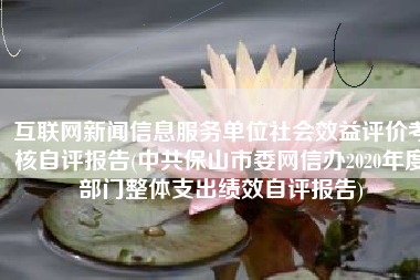 互联网新闻信息服务单位社会效益评价考核自评报告(中共保山市委网信办2020年度部门整体支出绩效自评报告)