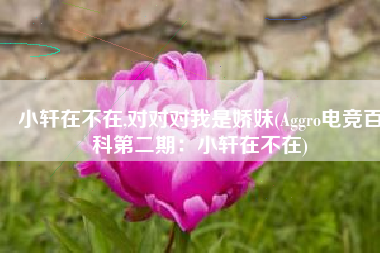 小轩在不在,对对对我是娇妹(Aggro电竞百科第二期：小轩在不在)