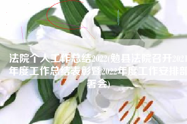 法院个人工作总结2022(勉县法院召开2021年度工作总结表彰暨2022年度工作安排部署会)