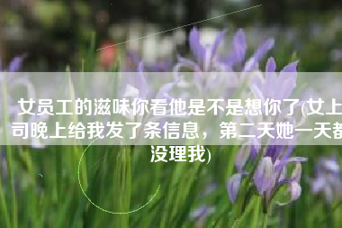 女员工的滋味你看他是不是想你了(女上司晚上给我发了条信息，第二天她一天都没理我)