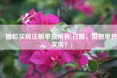 婚后买房注明单独所有(已婚，但想单独买房？)