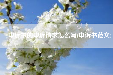 申诉书的申诉请求怎么写(申诉书范文)