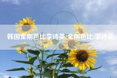 韩国金刚芭比李诗英(金刚芭比:李诗英)