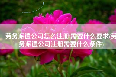 劳务派遣公司怎么注册,需要什么要求(劳务派遣公司注册需要什么条件)