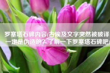 罗塞塔石碑内容(古埃及文字突然被破译，一定是伪造的？了解一下罗塞塔石碑吧)