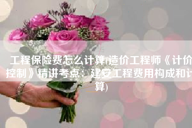 工程保险费怎么计算(造价工程师《计价控制》精讲考点：建安工程费用构成和计算)